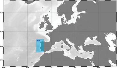 Disentangling Environmental Drivers of Phytoplankton Biomass off Western Iberia